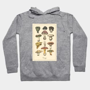 Fungi Hoodie